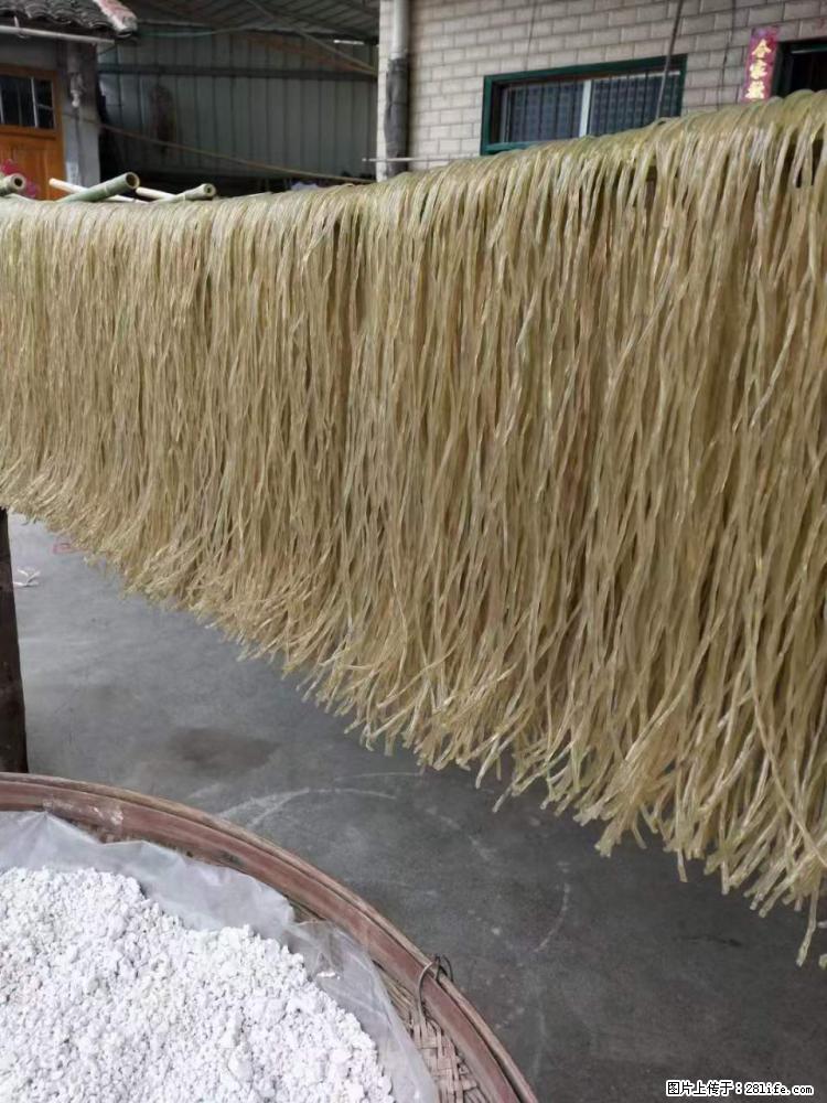 【灌阳正宗红薯粉】美女家里自己做的,干净卫生,假一赔十,价格合理,抢购电话:13737312895 - 美食天地 - 澳门生活社区 - 澳门28生活网 am.28life.com