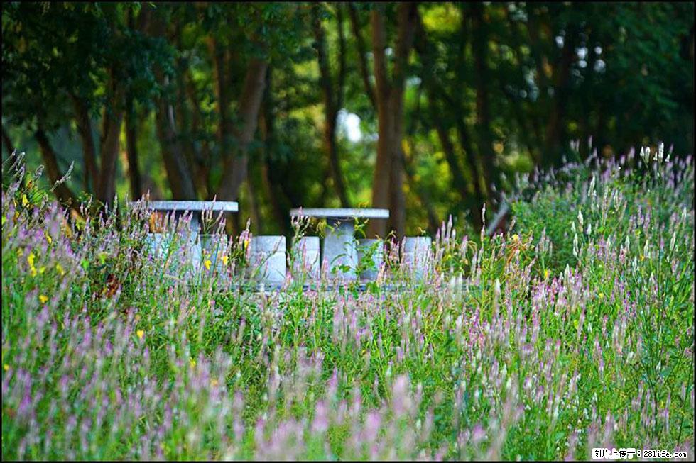 【春天,广西桂林灌阳县向您发出邀请!】熊家寨湿地公园 - 游山玩水 - 澳门生活社区 - 澳门28生活网 am.28life.com