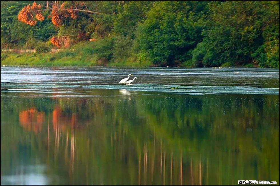 【春天,广西桂林灌阳县向您发出邀请!】熊家寨湿地公园 - 游山玩水 - 澳门生活社区 - 澳门28生活网 am.28life.com