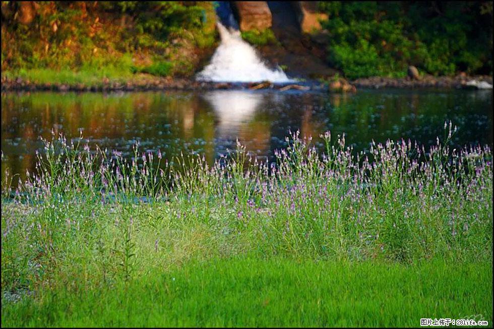 【春天,广西桂林灌阳县向您发出邀请!】熊家寨湿地公园 - 游山玩水 - 澳门生活社区 - 澳门28生活网 am.28life.com