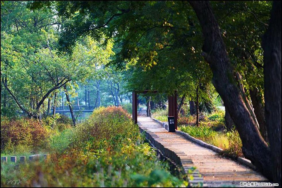 【春天,广西桂林灌阳县向您发出邀请!】熊家寨湿地公园 - 游山玩水 - 澳门生活社区 - 澳门28生活网 am.28life.com