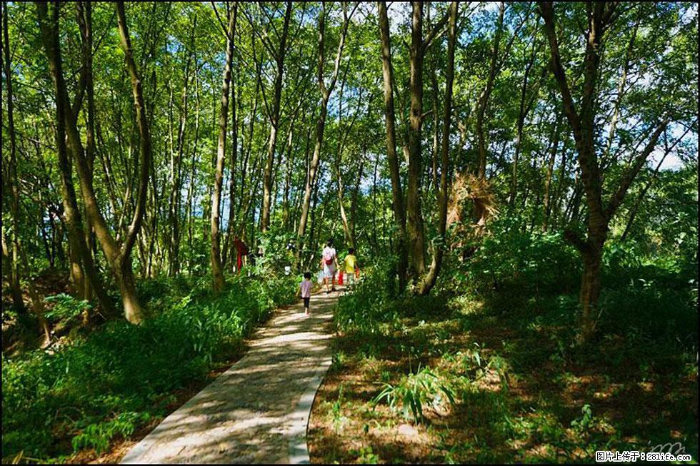 【春天,广西桂林灌阳县向您发出邀请!】熊家寨湿地公园 - 游山玩水 - 澳门生活社区 - 澳门28生活网 am.28life.com