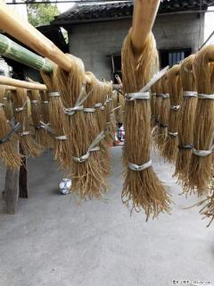 【灌阳正宗红薯粉】美女家里自己做的,干净卫生,假一赔十,价格合理,抢购电话:13737312895 - 澳门28生活网 am.28life.com