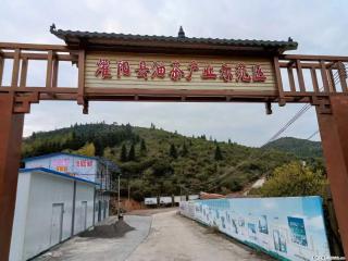 【灌阳县油茶产业示范区】一个有着充实的精神生活的人,对待身外之物自会有一种淡泊的态度 - 澳门28生活网 am.28life.com