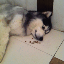 笑癫了！一女的怀孕三年未生，他终于忍不住了... - 娱乐八卦 - 澳门生活社区 - 澳门28生活网 am.28life.com