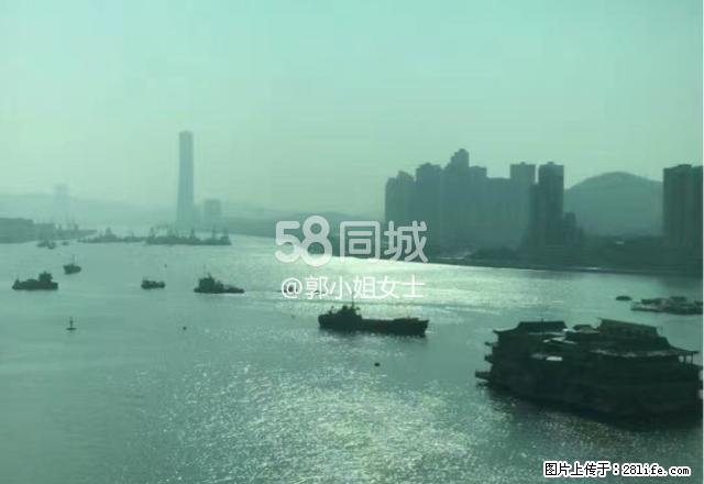 擎天半島 2室2厅1卫 - 房屋出租 - 房屋租售 - 澳门分类信息 - 澳门28生活网 am.28life.com