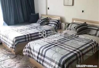 羅斯福 1室1厅1卫 - 澳门28生活网 am.28life.com