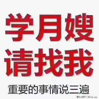【招聘】月嫂，上海徐汇区 - 澳门28生活网 am.28life.com