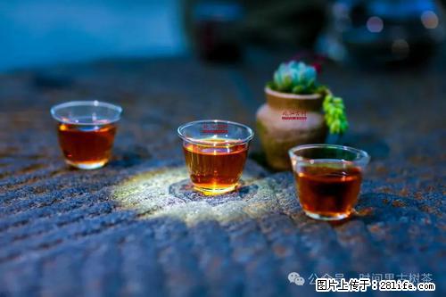 时间果百年古树2025年春红茶 - 购物交流 - 澳门生活社区 - 澳门28生活网 am.28life.com