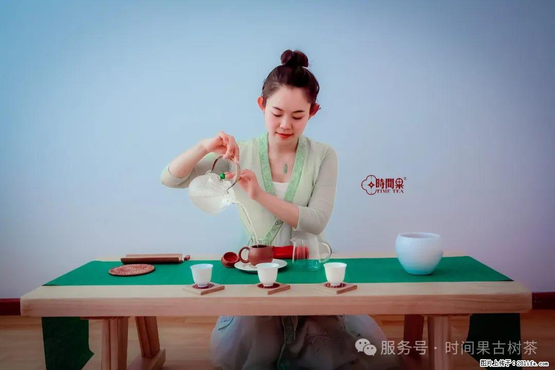 时间果百年古树龙珠普洱生茶 - 购物交流 - 澳门生活社区 - 澳门28生活网 am.28life.com