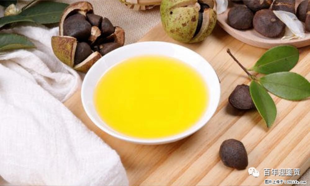 揭秘茶油的5大核心营养成分！被称为人体健康的“守护盾”！ - 澳门生活资讯 - 澳门28生活网 am.28life.com
