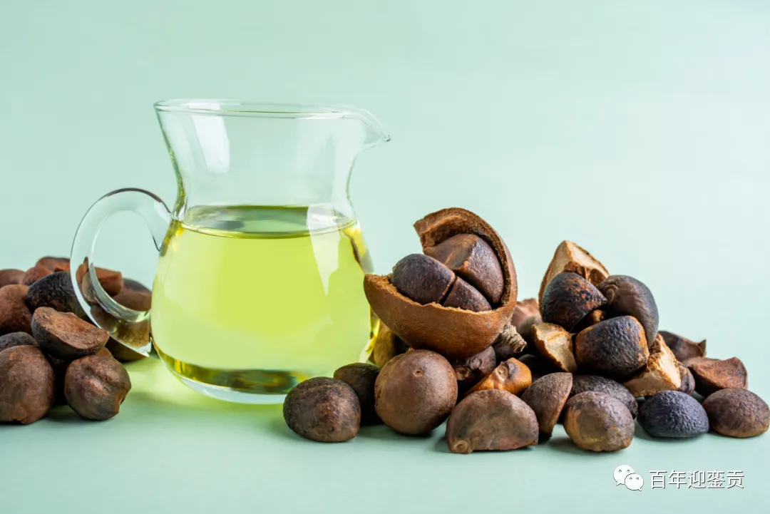 世界没有真相，只有认知，最好的食用油是中国的山茶油！ - 澳门生活资讯 - 澳门28生活网 am.28life.com