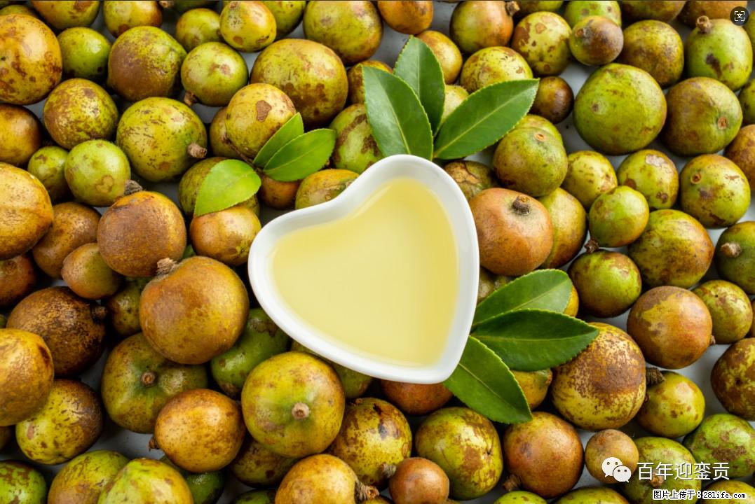 世界没有真相，只有认知，最好的食用油是中国的山茶油！ - 澳门生活资讯 - 澳门28生活网 am.28life.com