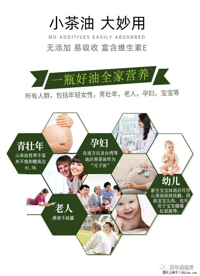 世界没有真相，只有认知，最好的食用油是中国的山茶油！ - 澳门生活资讯 - 澳门28生活网 am.28life.com