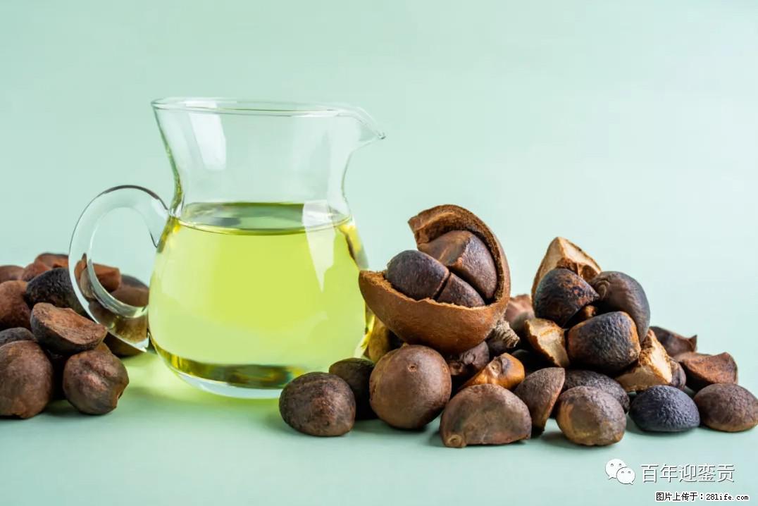 世界没有真相，只有认知，最好的食用油是中国的山茶油！ - 澳门生活资讯 - 澳门28生活网 am.28life.com
