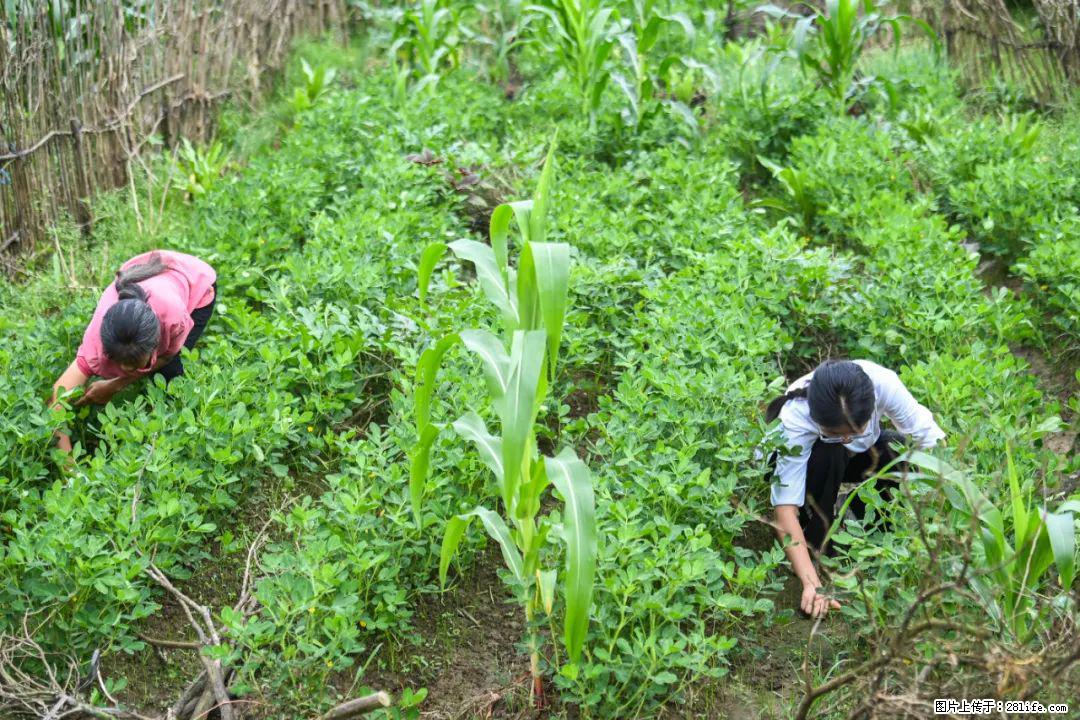 全网追的“扁担女孩”，找了一份暑假工，时薪12元 - 澳门生活资讯 - 澳门28生活网 am.28life.com