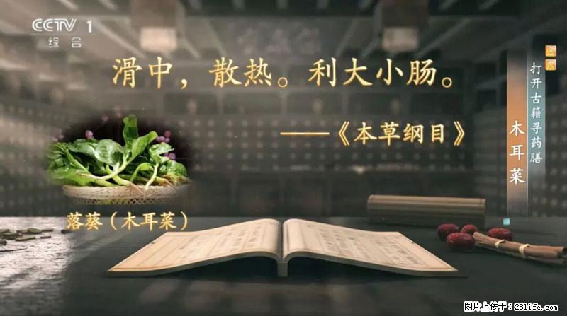 比牛奶补钙还厉害!凉血解毒、稳血糖...这菜冬天必吃,很多人却当草 - 澳门生活资讯 - 澳门28生活网 am.28life.com