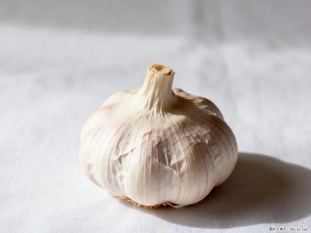 关于大蒜,除了“天然抗生素”,这4个谣言更该警惕! - 澳门生活资讯 - 澳门28生活网 am.28life.com
