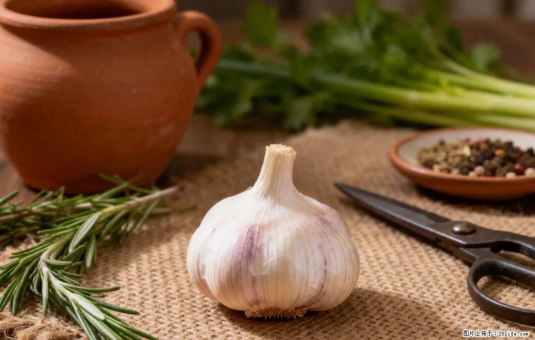 关于大蒜,除了“天然抗生素”,这4个谣言更该警惕! - 澳门生活资讯 - 澳门28生活网 am.28life.com