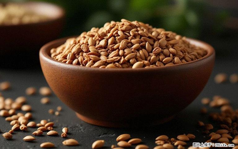 这三苦是三高“克星”,心血管干净不易堵!每天吃一点,指标慢慢降下来~ - 澳门生活资讯 - 澳门28生活网 am.28life.com