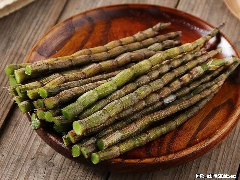 铁皮石斛的作用与功能主治 - 澳门生活资讯 - 澳门28生活网 am.28life.com