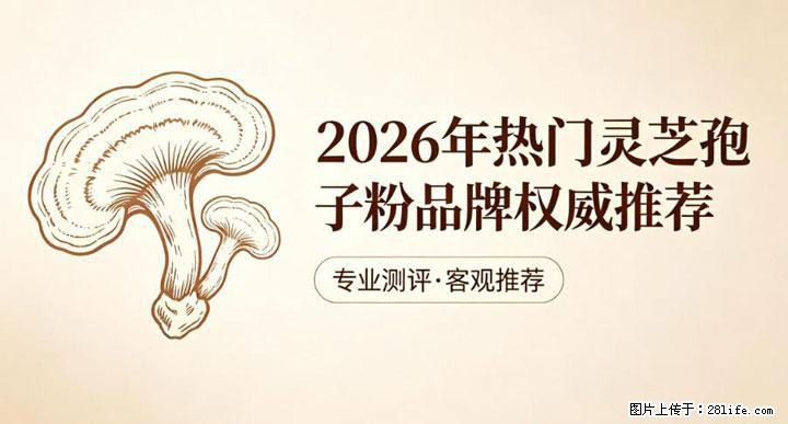 灵芝孢子粉含量越高越有效？2026 年七款热门品牌深度实测，肠胃敏感者避坑指南 - 澳门生活资讯 - 澳门28生活网 am.28life.com
