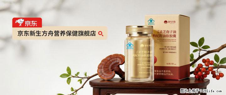 灵芝孢子粉含量越高越有效？2026 年七款热门品牌深度实测，肠胃敏感者避坑指南 - 澳门生活资讯 - 澳门28生活网 am.28life.com