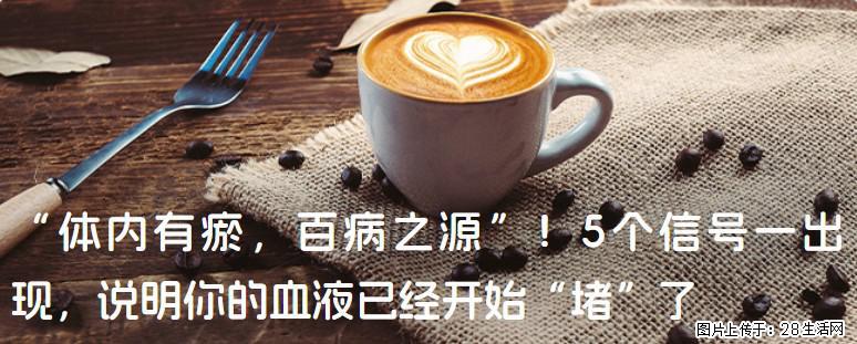 “体内有瘀，百病之源”！5个信号一出现，说明你的血液已经开始“堵”了 - 澳门生活资讯 - 澳门28生活网 am.28life.com